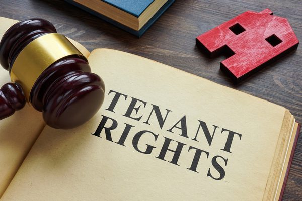 Tenants' rights - an article about amendments to the Renters' Rights Bill